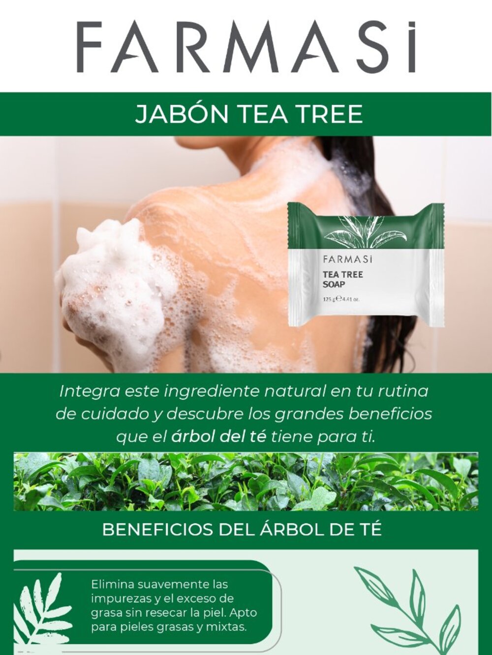 SOUP TEA TREE